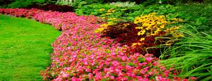 Home and Garden.jpg