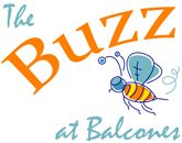 Buzz at Balcones